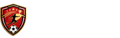 欧冠直播
